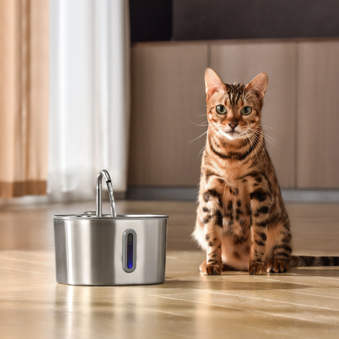 The KittySpout™ - Cat Fountains