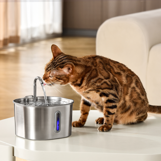 The KittySpout™ - Cat Fountains