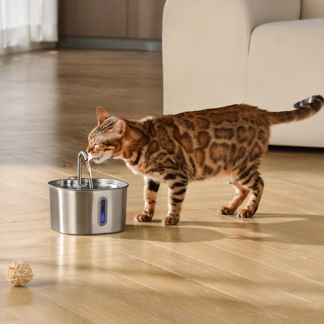 The KittySpout™ - Cat Fountains