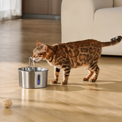 The KittySpout™ - Cat Fountains